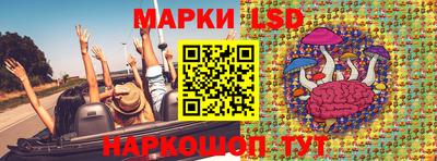 шишки Новокубанск