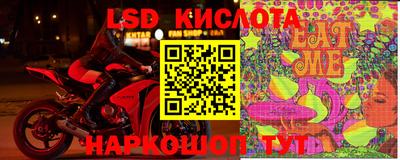 шишки Новокубанск