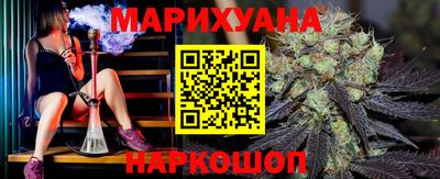 шишки Новокубанск