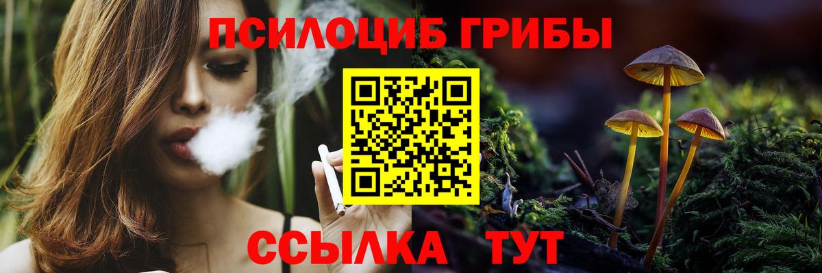 Псилоцибиновые грибы Psilocybe Спасск-Дальний